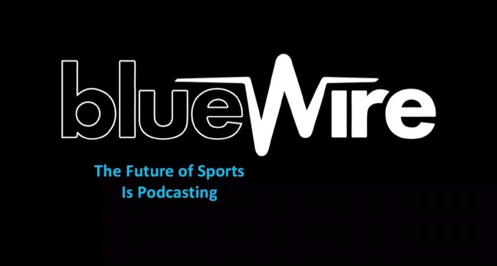 Blue Wire pitch deck, cover slide
