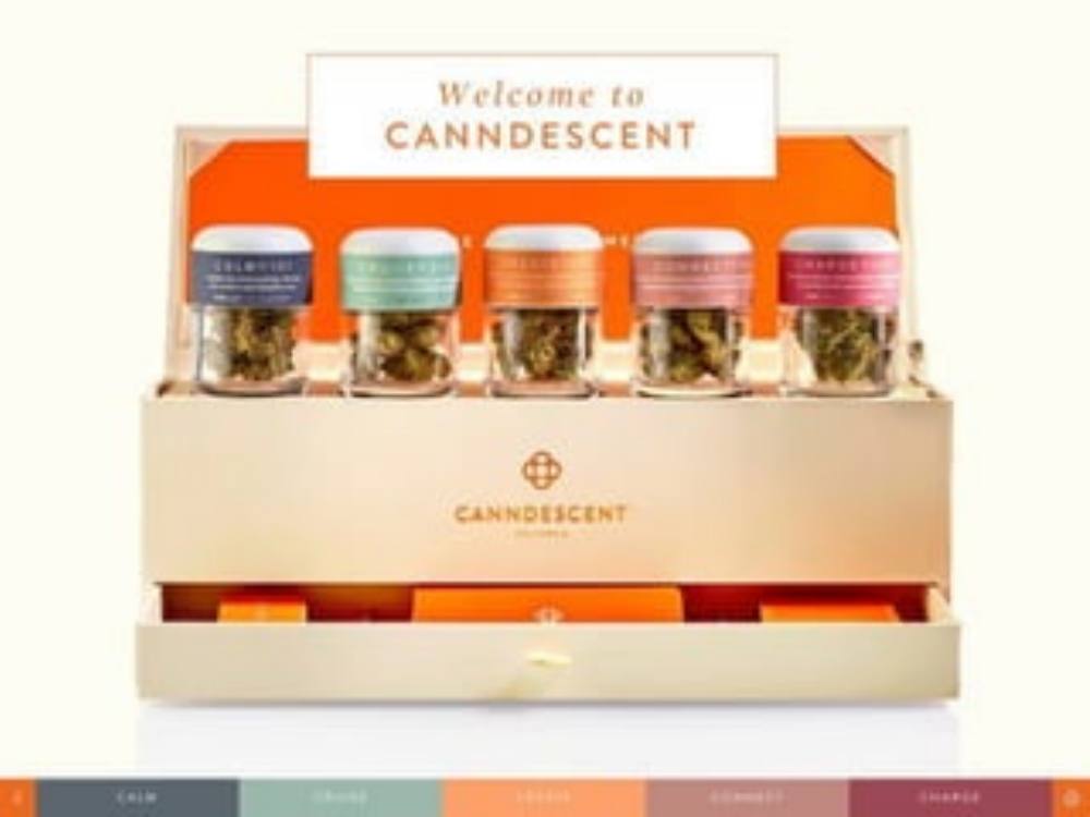 Canndescent pitch deck, cover slide