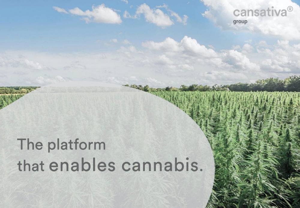 Cansativa pitch deck, cover slide