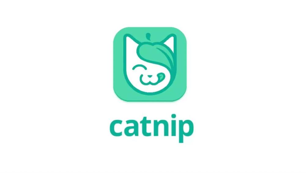 Catnip pitch deck, cover slide