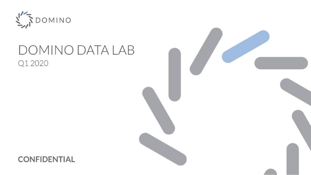 Domino Data Health pitch deck, cover slide