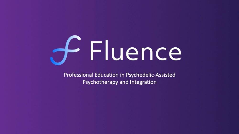 Fluence pitch deck, cover slide
