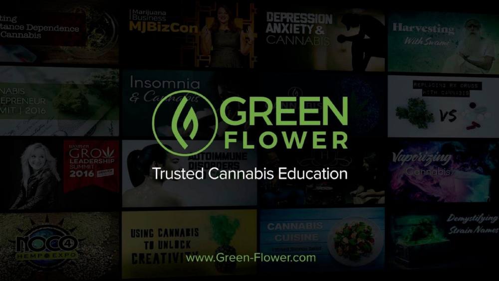 Green Flower Media pitch deck, cover slide