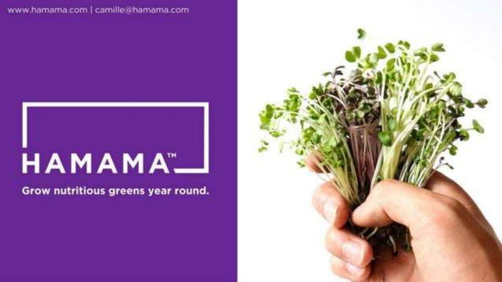Hamama pitch deck, cover slide