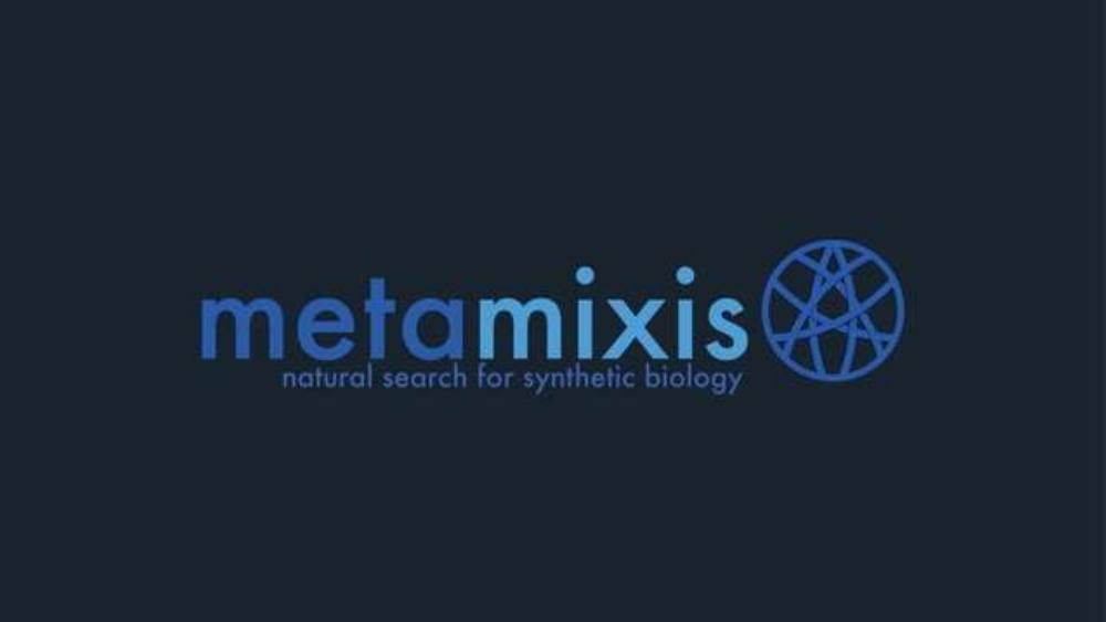 Metamixis pitch deck, cover slide