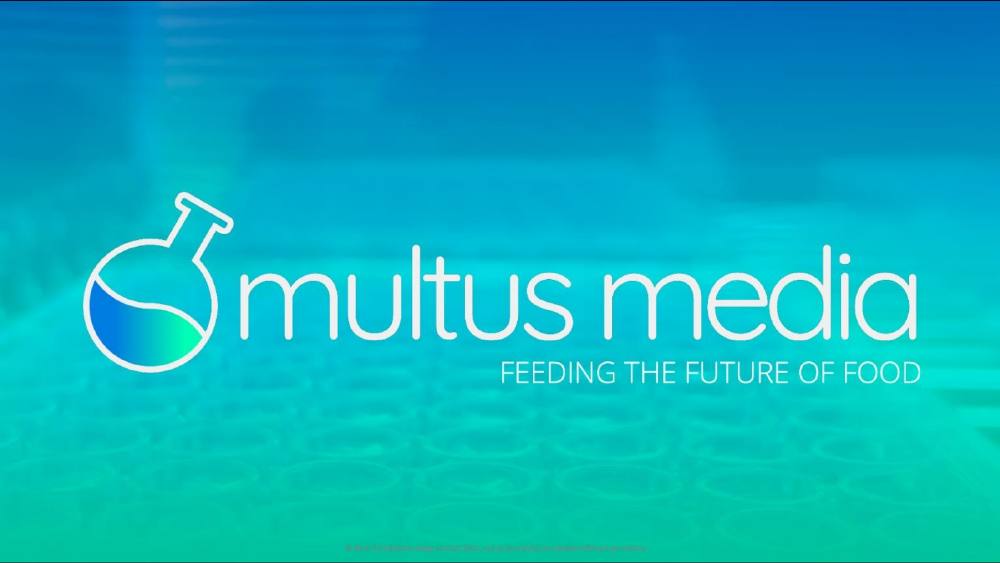 Multus Media pitch deck, cover slide