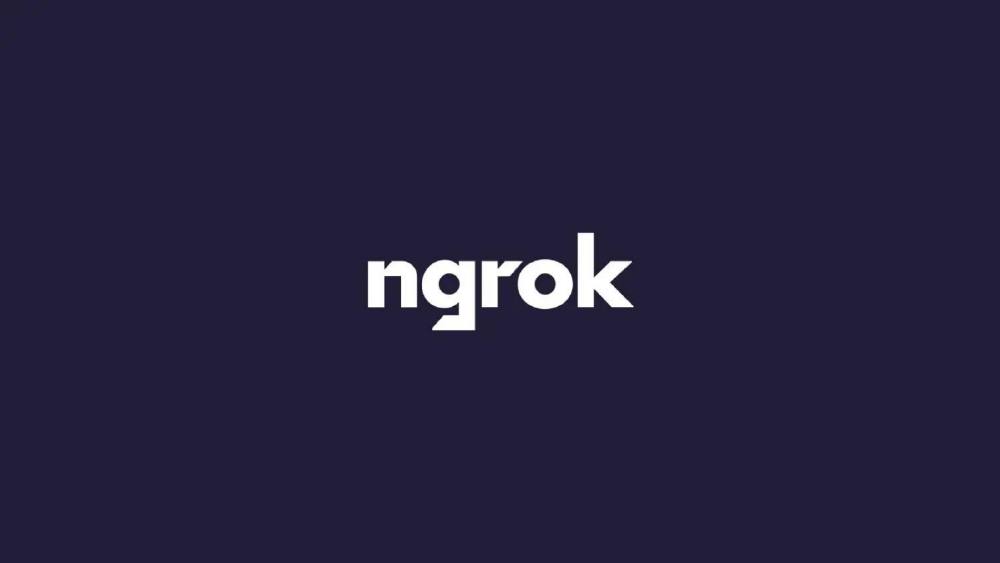 Ngrok pitch deck, cover slide