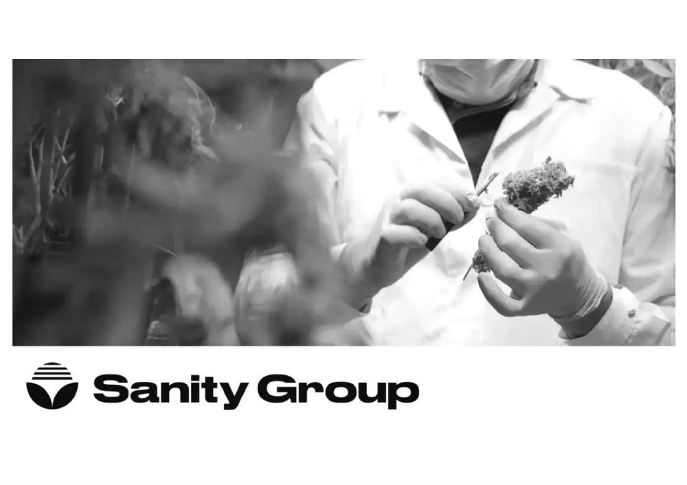 Sanity Group pitch deck, cover slide