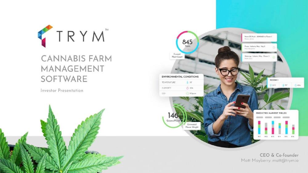 Trym pitch deck, cover slide