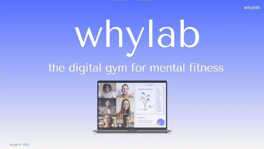 Whylab pitch deck, cover slide