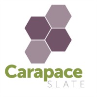 Carapace Slate logo