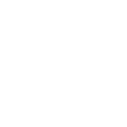 Zulu Pods logo