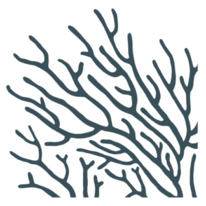 PlantSea logo