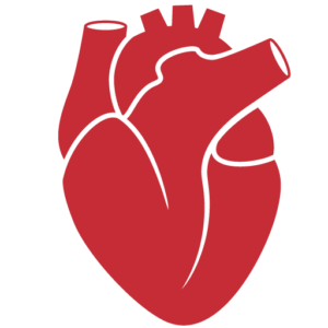 YoungHeartValve logo