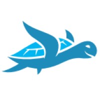 Turtle Health logo