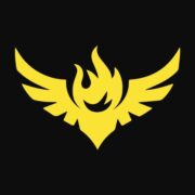 Drone Amplified logo