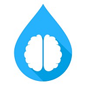 BrainSpace logo