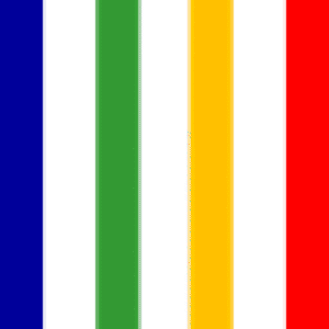 AFINGEN® logo