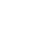 Mentored logo