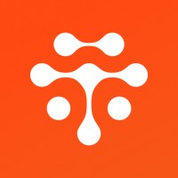 Teamspective logo