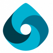 Ion Protocol logo