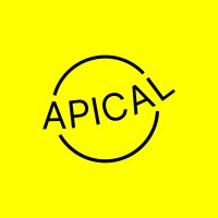 Apical logo