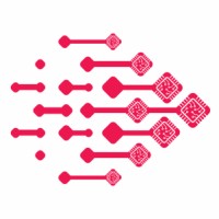 Rapid Silicon logo