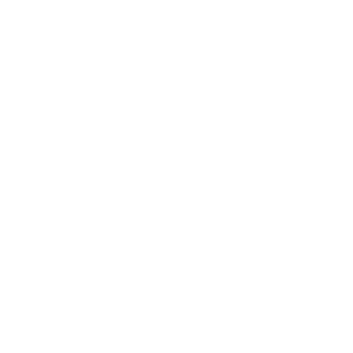 PayRight logo