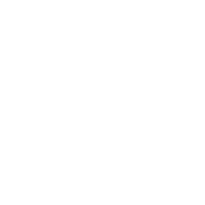 Devii logo