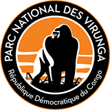 Virunga Energies logo