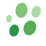 Parasight System logo