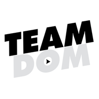 TeamDom logo
