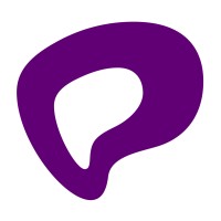 Pay Theory logo