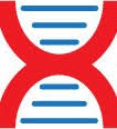 Xynomic Pharmaceuticals logo
