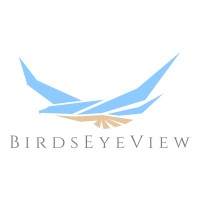 BirdsEyeView logo