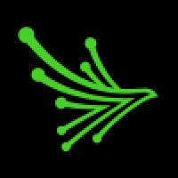 Black Kite logo