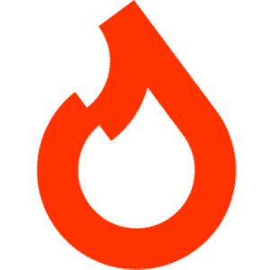 Digital Fuel logo