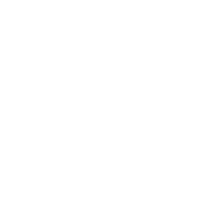 Idea Record logo