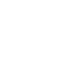 NuxtJS logo