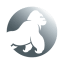 Silverback Systems logo
