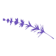 Lavender logo