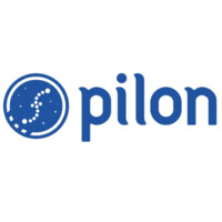 Pilon logo