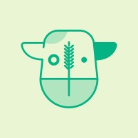 IIF logo