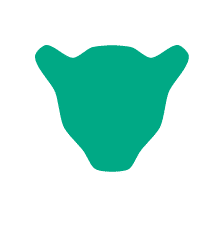 Yaguara logo