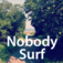 NobodySurf logo