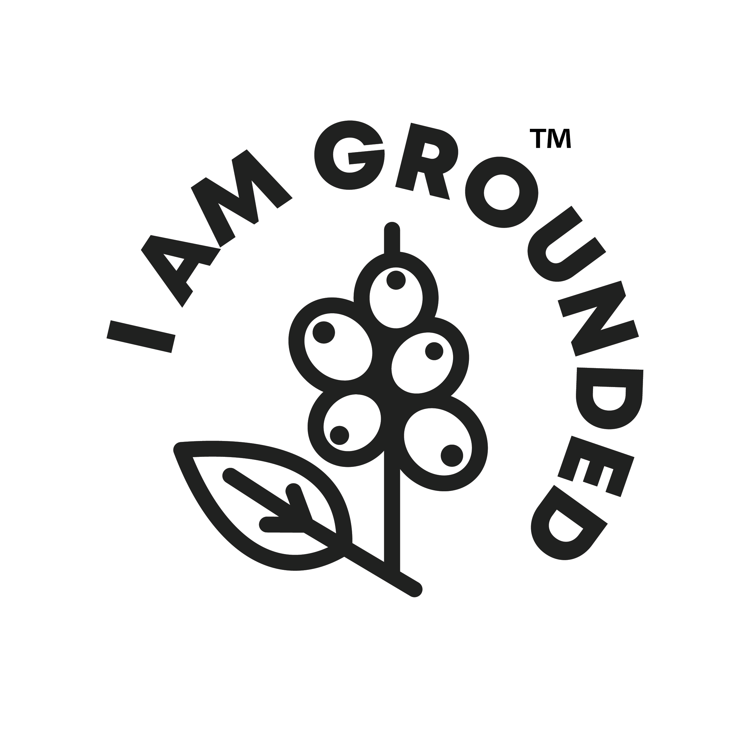 I Am Grounded logo