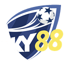 3D simo logo