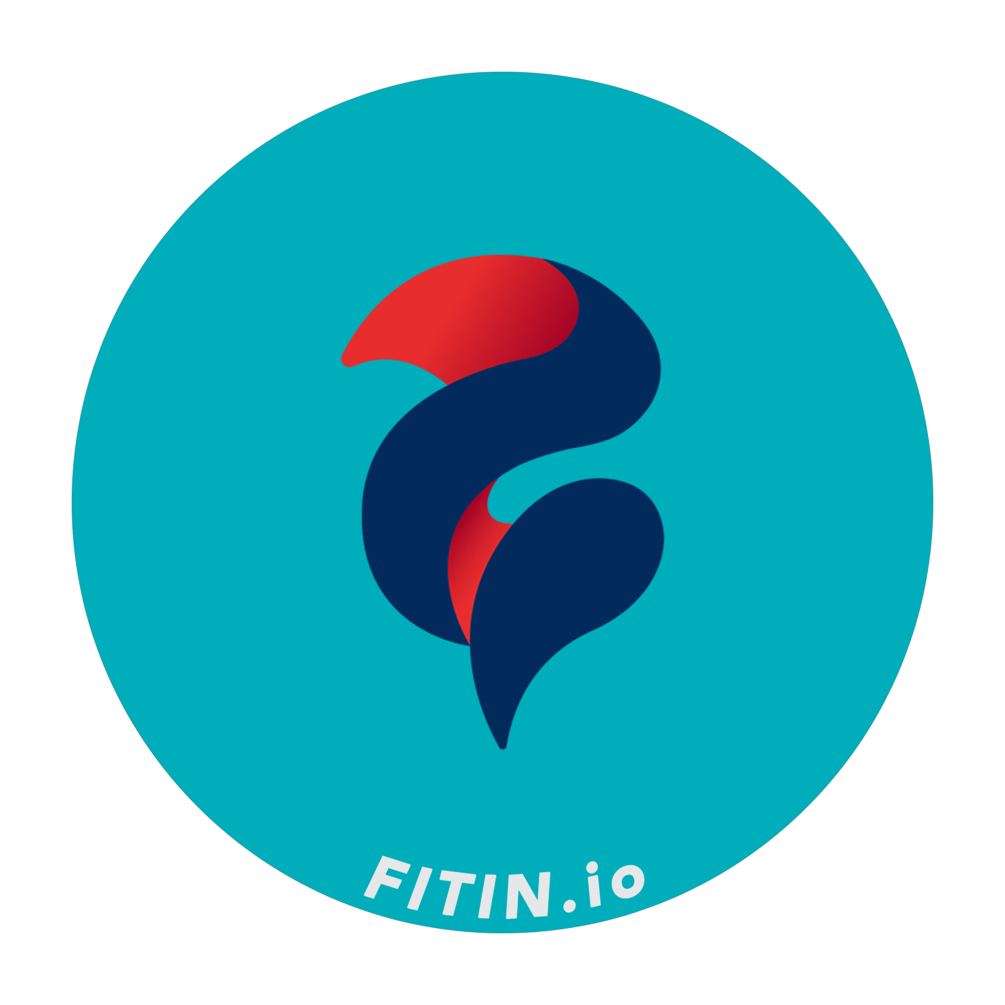 Fitin logo
