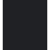 V Resorts logo
