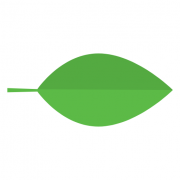 Light Science Technologies Holdings logo